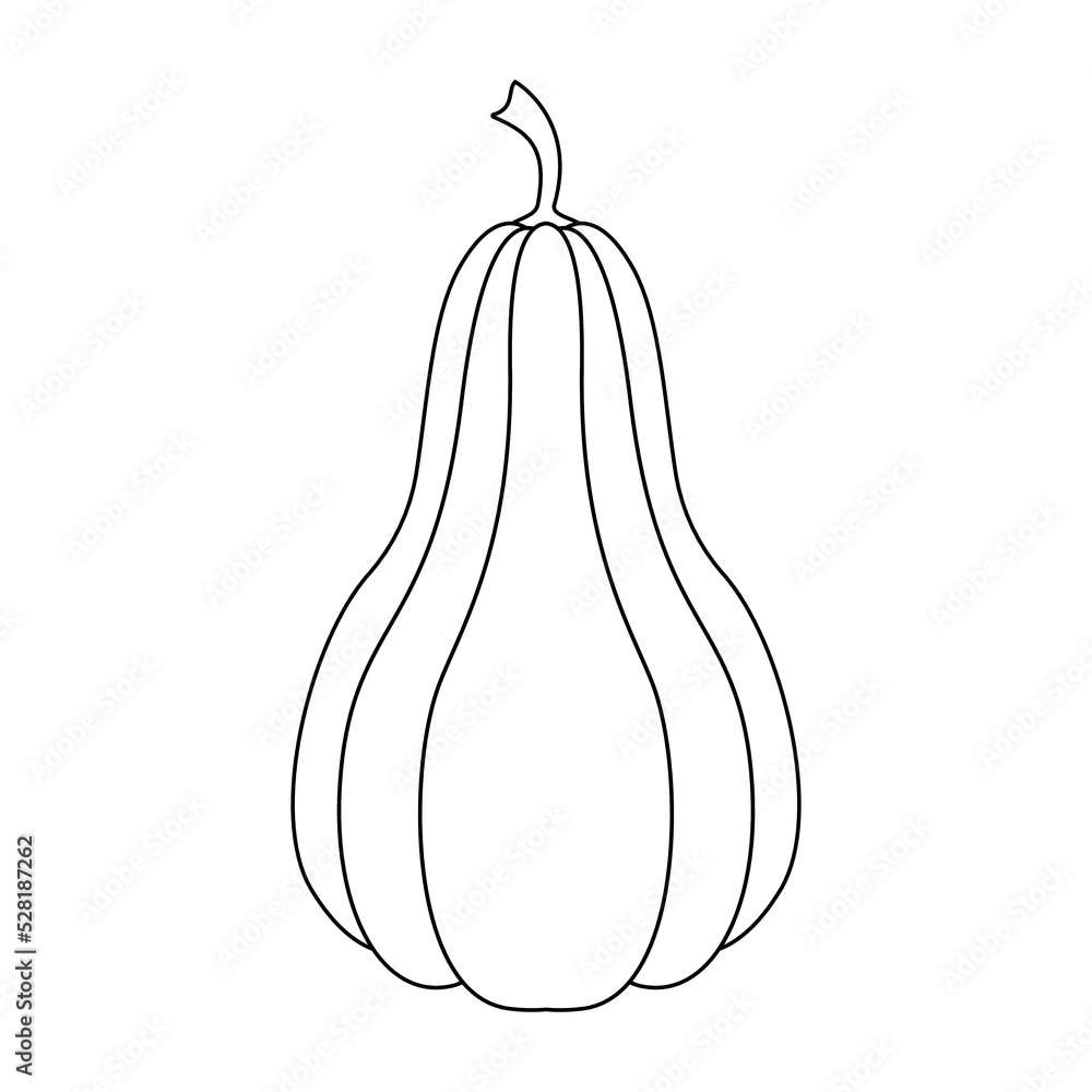 Pumpkin with a black outline. Vector illustration of a hand-drawn pumpkin on a white background. An element for autumn decorative design, an invitation for Halloween.Pumpkin Icon White Background Pumpkin with a black outline. Vector illustration of a hand-drawn pumpkin on a white background. An element for autumn decorative design, an invitation for Halloween.Pumpkin Icon White Background