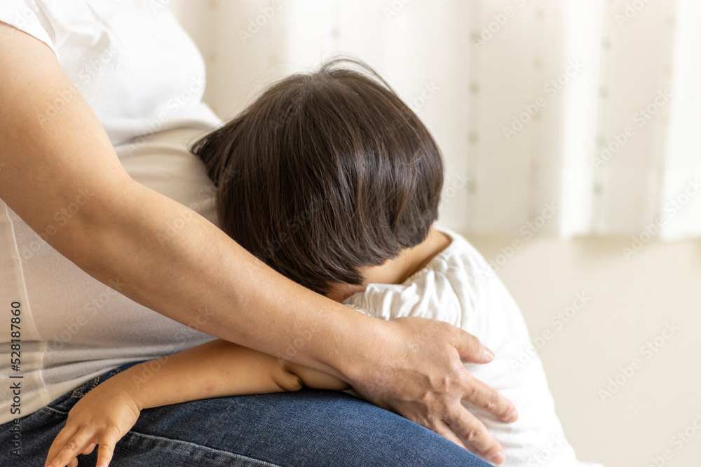 母親に泣きつく赤ちゃん(2歳1か月、女の子、日本人) 母親に泣きつく赤ちゃん(2歳1か月、女の子、日本人)