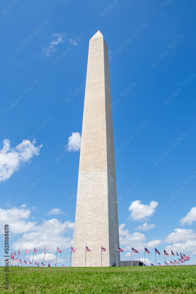 American Flags Surrounding the Washington Monument in Washington, DC (United States of America)