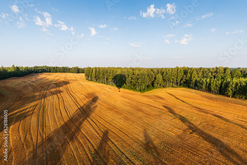 A trip with a hot air balloon over the field and forest of Latvia. Balloon shadow.