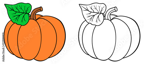 Pumpkin coloring book. Colored and outline vector illustration isolated on white background. Coloring book page for children.