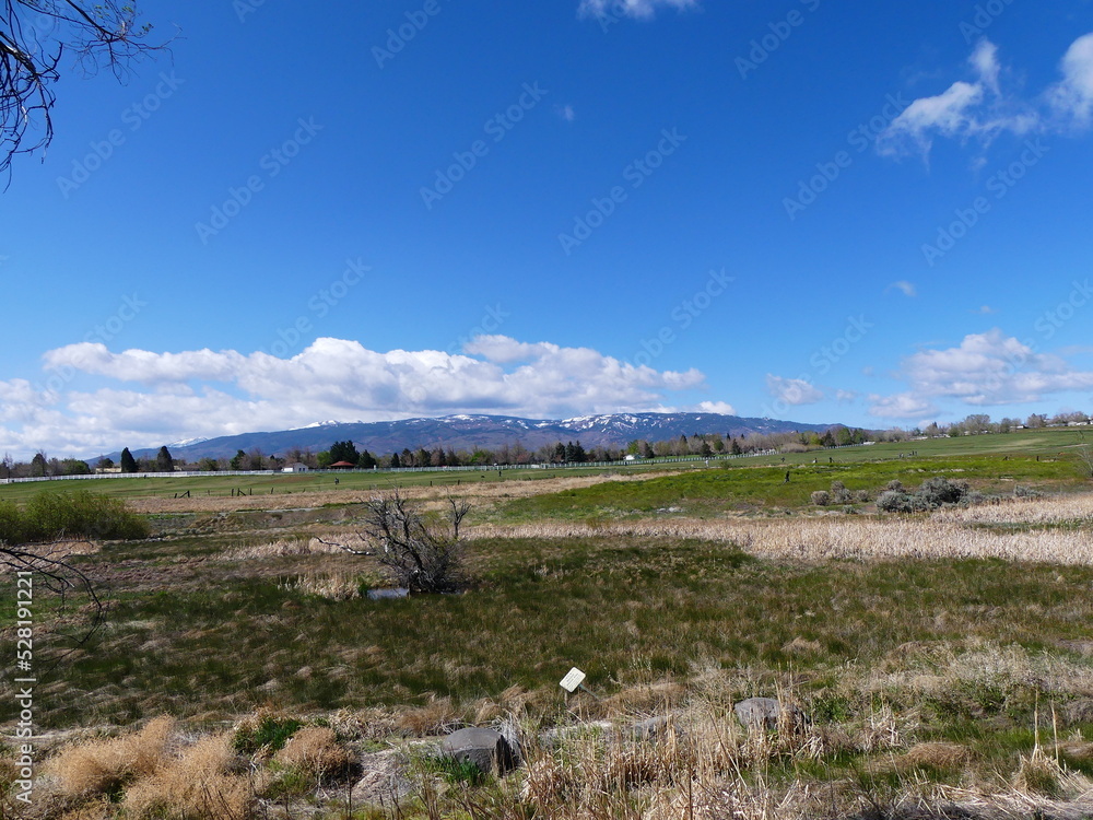 Sierra Mountains from Rancho San Rafael Park in Reno NV 