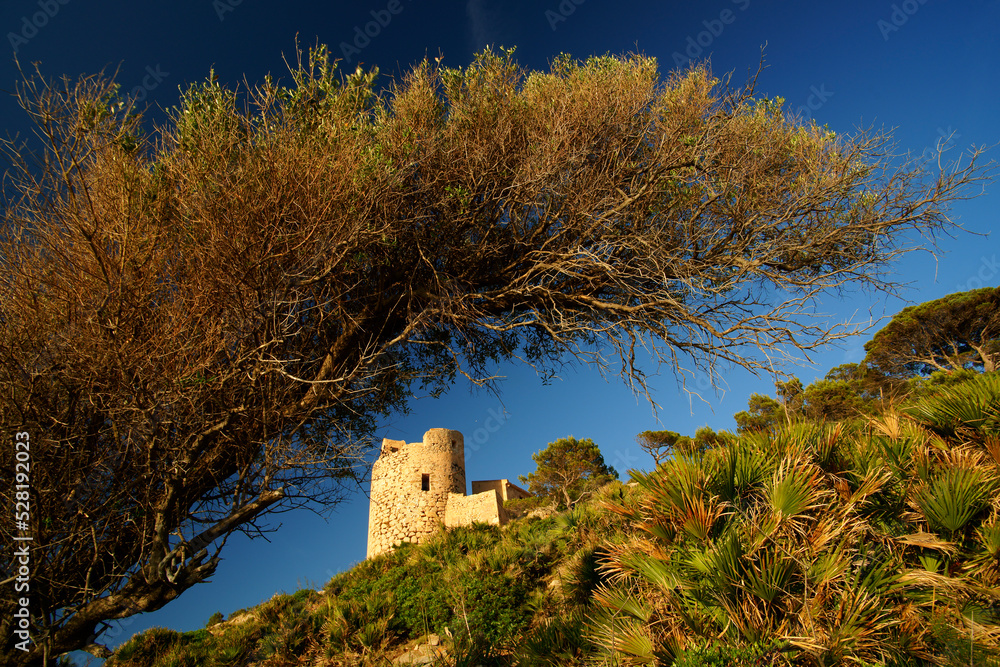 Torre de Cala en Basset.Andratx. Ponent.Mallorca.Illes Balears.España.