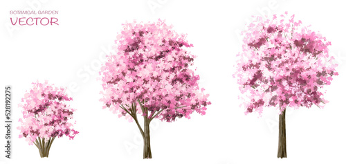 Vector watercolor blooming flower tree or forest side view isolated on white background for landscape and architecture drawing,elements for environment or and garden,botanical for section in autumn   