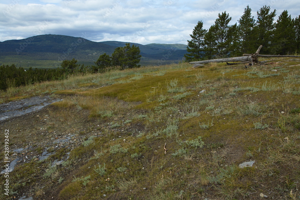 Summit of Bald Hill at Purple Trail,Canada,North America
Summit of Bald Hill at Purple Trail,Canada,North America