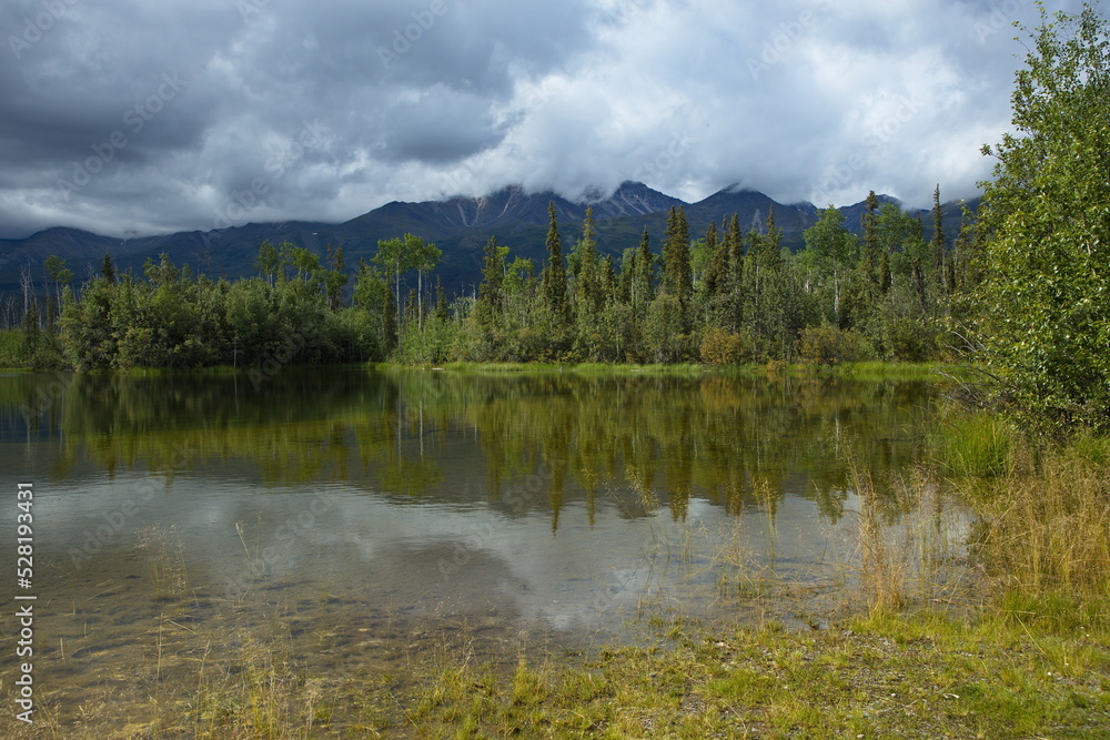 Landscape at Tanana River in Alaska, United States,North America
