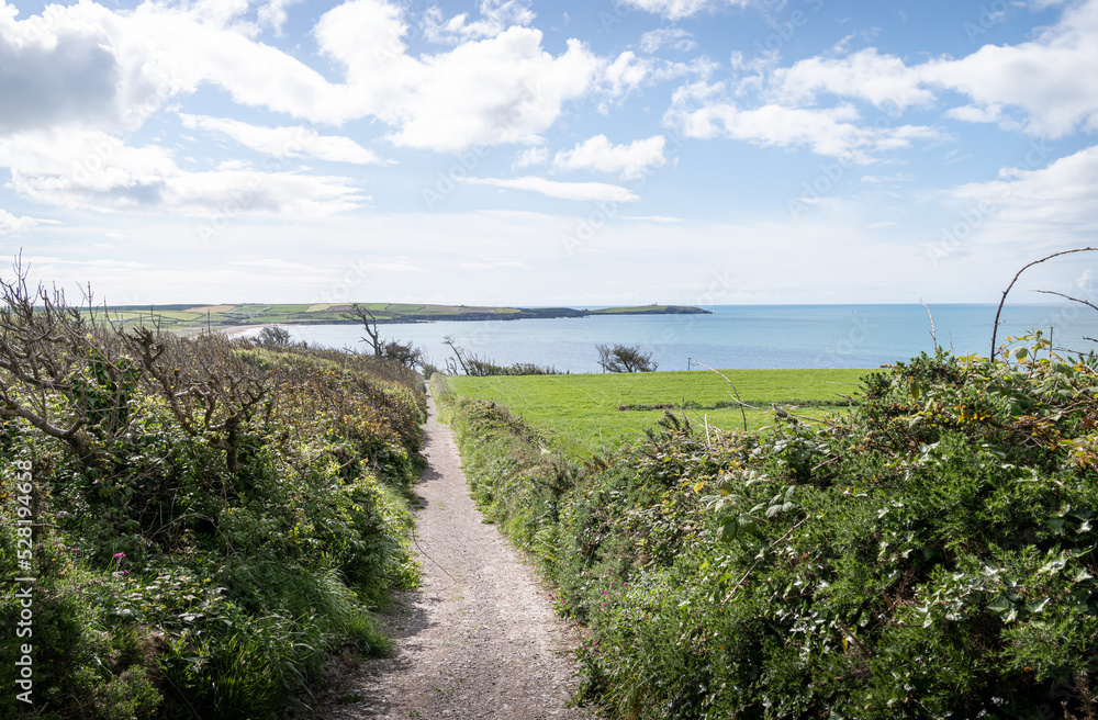 Footpath from Carbery Cross to Long Strand Beach in County Cork, Ireland Footpath from Carbery Cross to Long Strand Beach in County Cork, Ireland