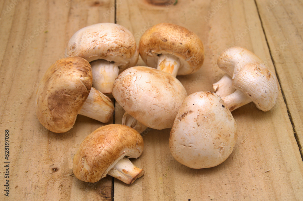 mushrooms on a wooden board