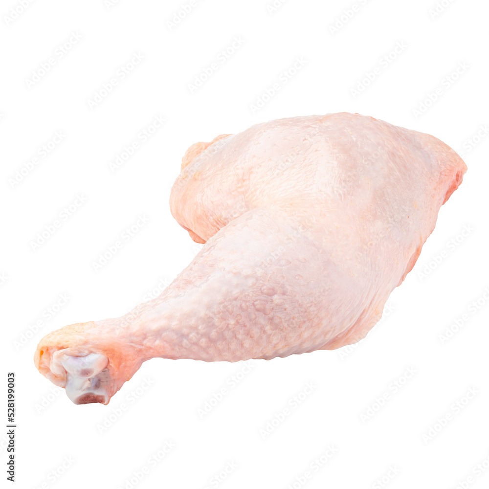 Isolated fresh raw chicken leg