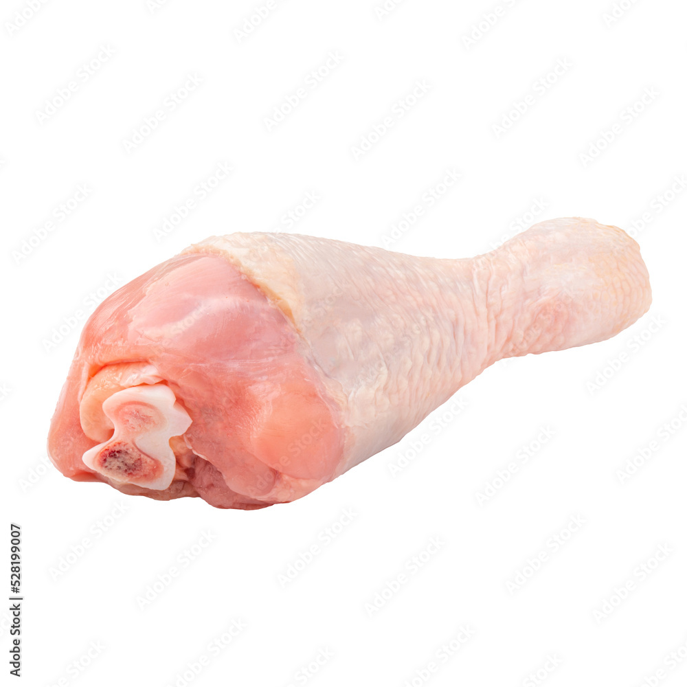 Isolated fresh raw chicken leg