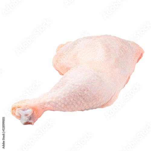 Isolated fresh raw chicken leg