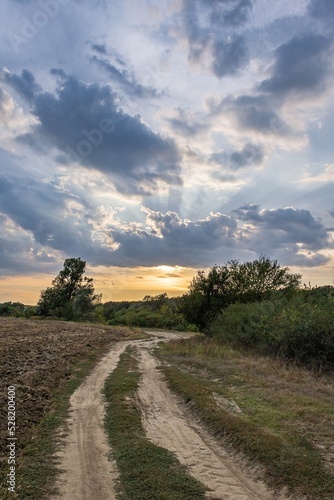 Sunset sky in the natural park