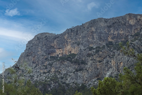 landscape in the mountains