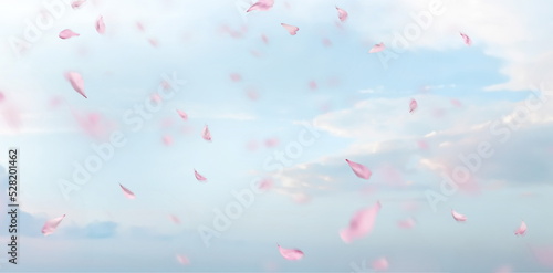  romanric blue sky and flying pink petal pastel defocus background