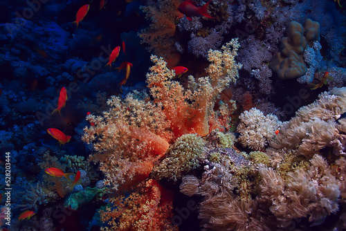 coral reef background, underwater marine life ecosystem ocean sea