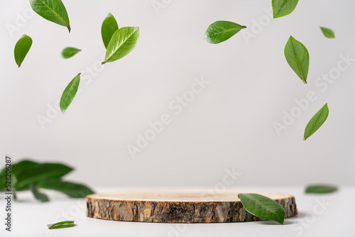 Photography Wood slice podium and green flying leaves on white background