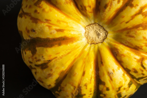 Wallpaper Mural Ripe squash pumpkins background closeup Torontodigital.ca