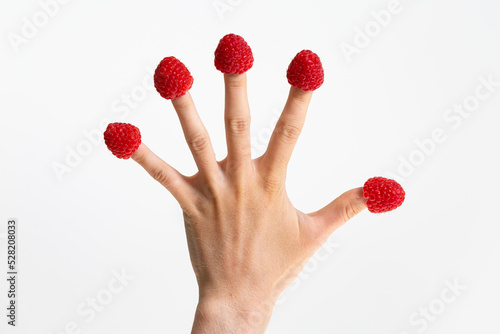 Female hand with red ripe raspberries on each finger; palm with fingers spread wide; summertime feels like in childhood.