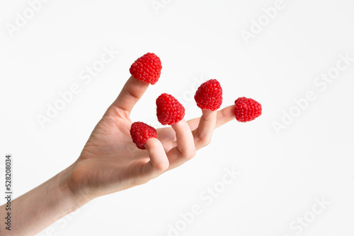 Female hand with red ripe raspberries on each finger; summertime fashion.