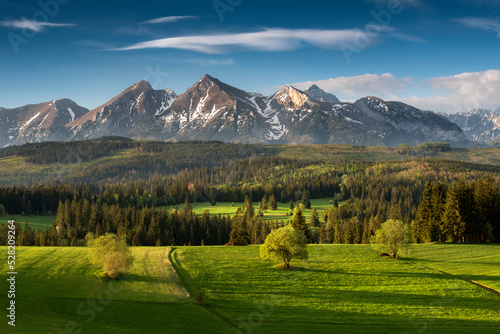 Tatra Mountains. View from the pass over Łapsznka. Mountains, meadows, fields, summer, Poland. Belianske Tatras. Tatry. Widok z Przełęcz nad Łapsznką. Góry, łąki, pola, Polska. Tatry Bielskie. Spisz