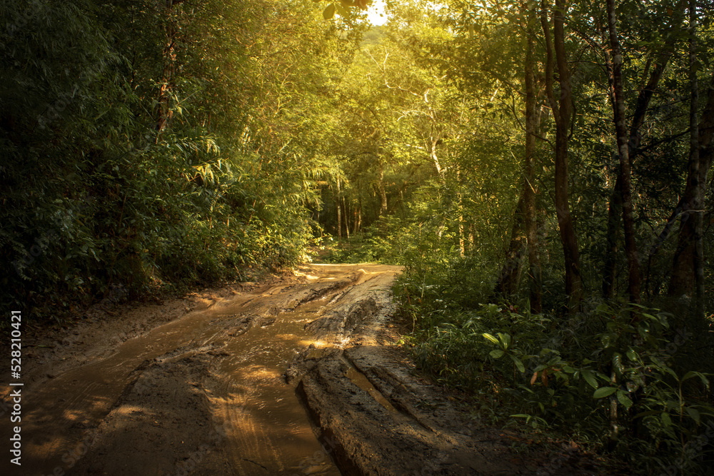 Fototapeta premium Mud Off Road Dirty in rainy day