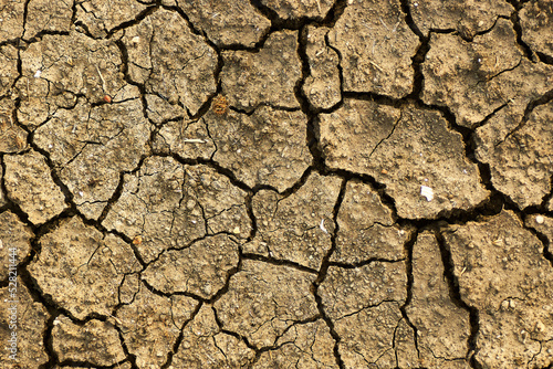 Dry cracked dirt ground