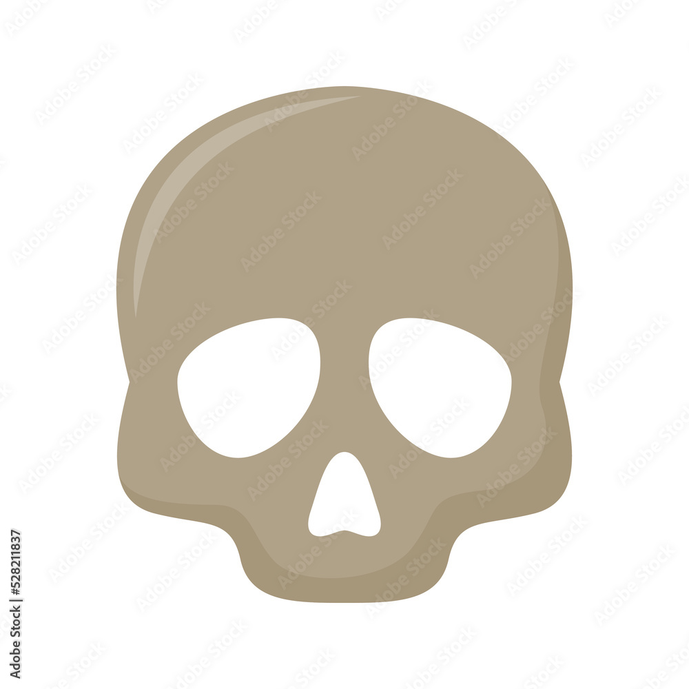Skull isolated on white background Skull isolated on white background
