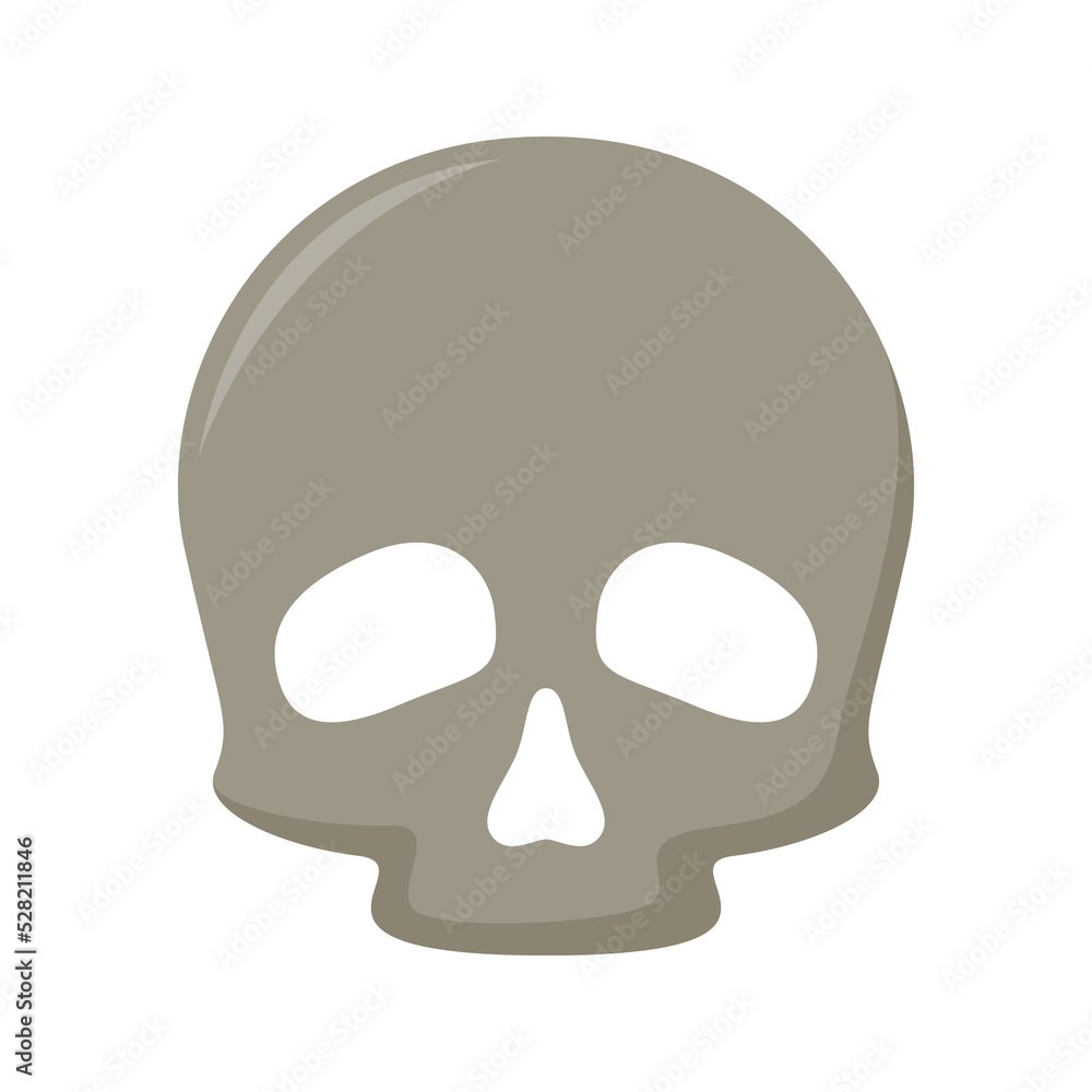 Skull isolated on white background Skull isolated on white background