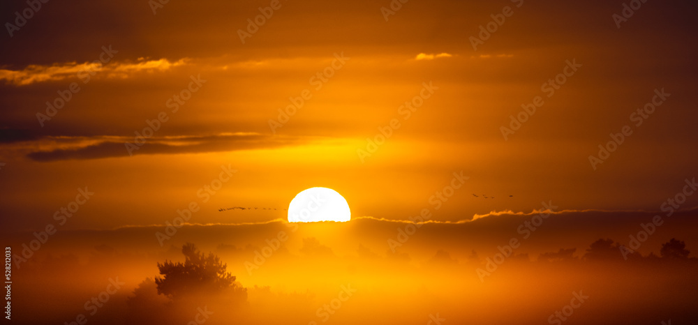 Misty orange sunrise over the lake - obrazy, fototapety, plakaty 