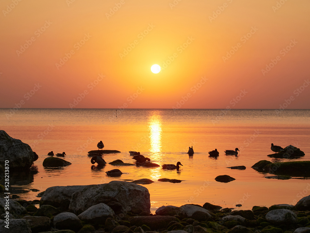 Wonderful sunset over rocky shore of sea with silhouettes of stones and ducks Wonderful sunset over rocky shore of sea with silhouettes of stones and ducks