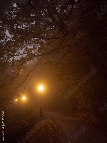 The light of lanterns on the road in the fog