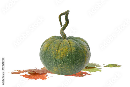 Beautiful Autumn Season