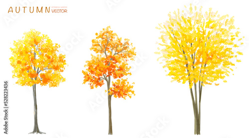 Vector watercolor blooming flower tree or forest side view isolated on white background for landscape and architecture drawing,elements for environment or and garden,botanical for section in autumn   