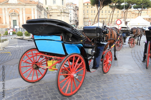 Colorful Horse Carriage in Rome  Italy