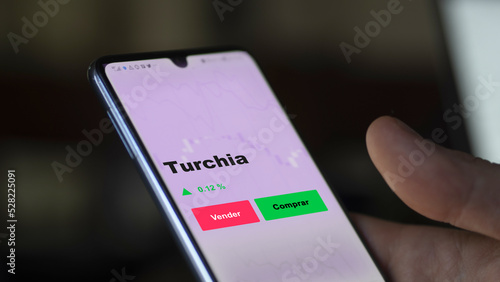 Un inversor está analizando el turchia etf fondo en pantalla. Un teléfono muestra los precios del ETF TURCHIA para invertir. photo