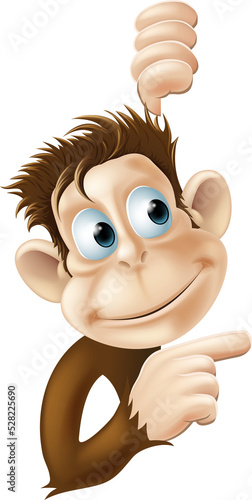 Monkey pointing and looking...