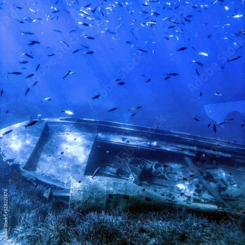 Captivating Shipwreck and Fish in Turkey - Photo of an Eerie Underwater Scene