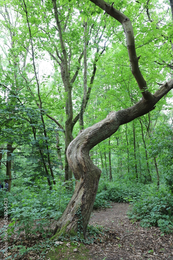 Parc Parc