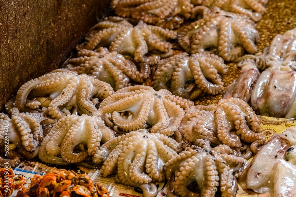 Raw octopuses for sale at the fish market Raw octopuses for sale at the fish market
