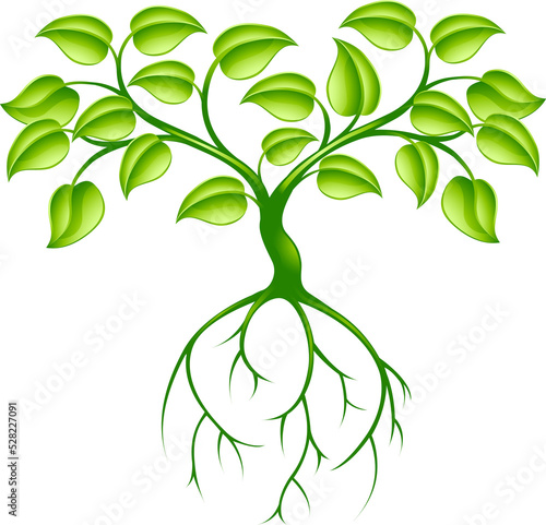 Green tree and roots