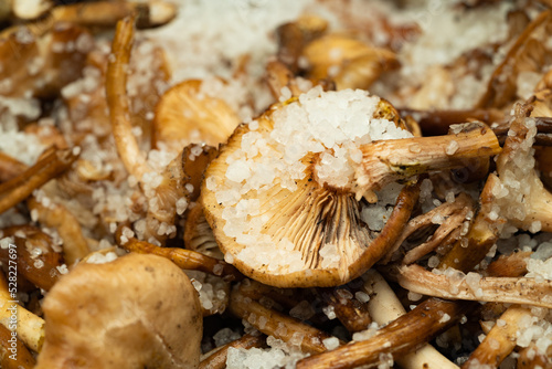 Northeast China Specialty Side Dish - Salted Mushrooms