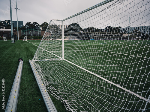 football goal net
