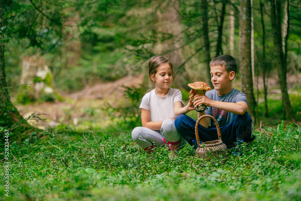 Girl and a boy are holding a boletus mushroom and smiling in the forest Girl and a boy are holding a boletus mushroom and smiling in the forest
