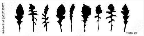 Silhouettes of plants from separate branches of leaves