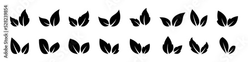 Leaves vector icons. Leaves, foliage icon collection. Leaf vector icon set. Vector graphic