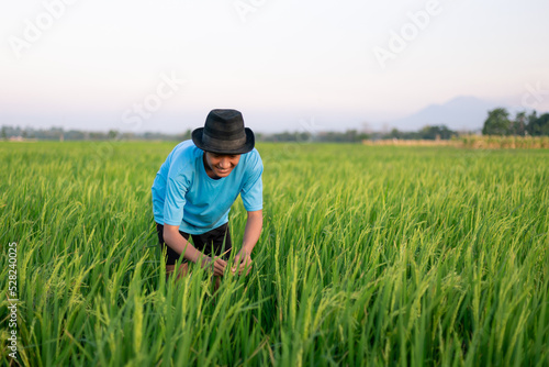 Attractive cheerful young Asian farmer bend down and smiling at the rice field
