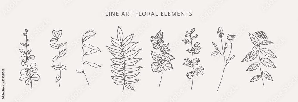 Wild flowers hand drawn. Collection of flowering plants, herbs, branches in line art style isolated on white background. Botanical vector illustration