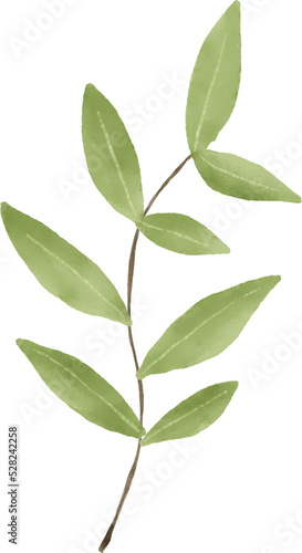 Green leaf watercolor for decoration