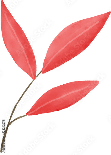 Red leaf watercolor for decoration