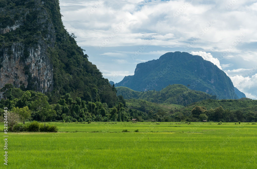 Landscape with agriculture field in Meuang Feuang District of Vientiane Province, Laos